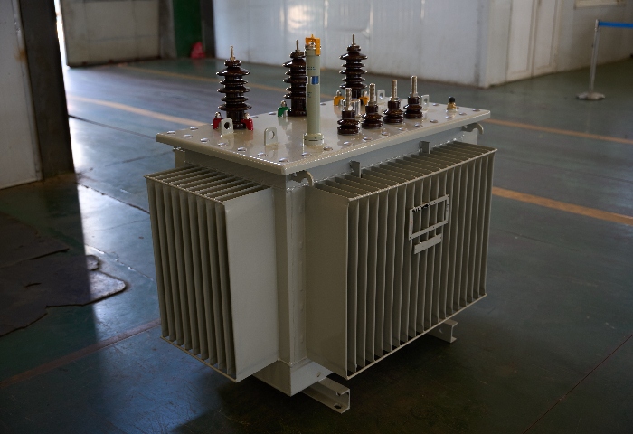 Oil Immersed Transformer 3